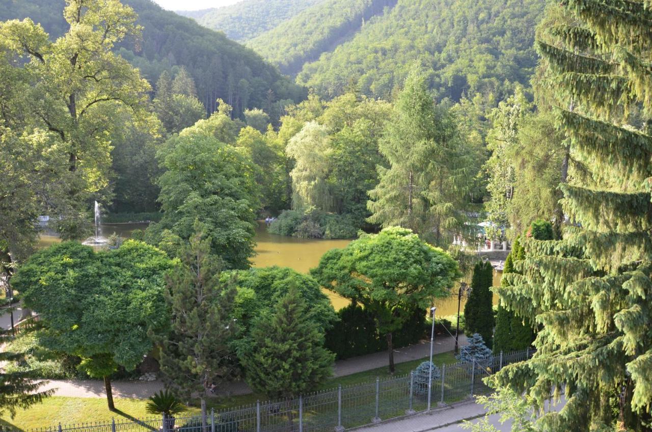 Floravilla Rajecké Teplice エクステリア 写真