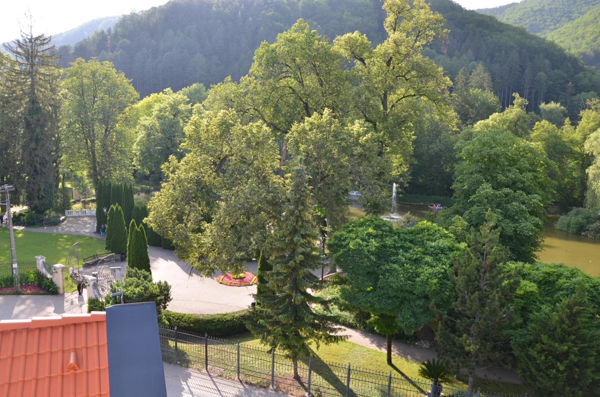Floravilla Rajecké Teplice エクステリア 写真